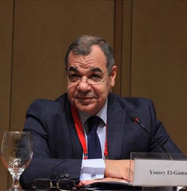 Professor Yousry Elgamal