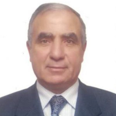 Abobakr M. Elgendy