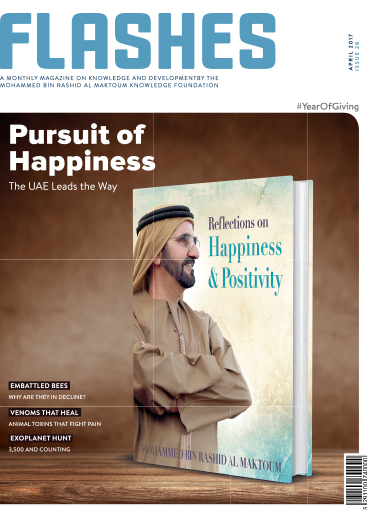 The Pursuit of Happiness